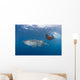 Snorkeler Swimming with Whale Wall Decal