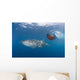 Snorkeler Swimming with Whale Wall Decal