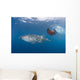 Snorkeler Swimming with Whale Wall Decal