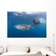 Snorkeler Swimming with Whale Wall Decal