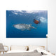 Snorkeler Swimming with Whale Wall Decal