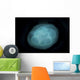 Bluish White Transluscent Jellyfish Wall Decal
