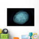 Bluish White Transluscent Jellyfish Wall Decal