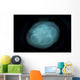 Bluish White Transluscent Jellyfish Wall Decal
