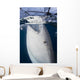 Close-up Whale Shark Breaching Vertical Wall Decal