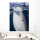 Close-up Whale Shark Breaching Vertical Wall Decal