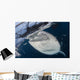 Close-up Whale Shark Breaching Wall Decal