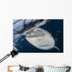 Close-up Whale Shark Breaching Wall Decal