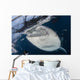 Close-up Whale Shark Breaching Wall Decal