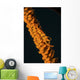 Orange Sea Whip Shrimp Wall Decal