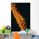 Orange Sea Whip Shrimp Wall Decal