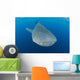 Whale Shark Descending Wall Decal