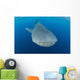 Whale Shark Descending Wall Decal