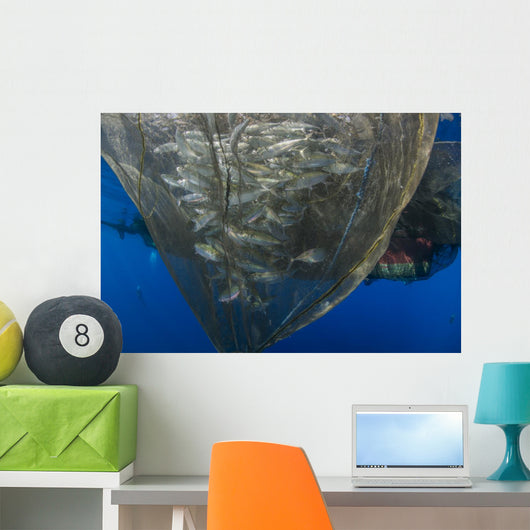 Fishing Net with Silvery Wall Decal