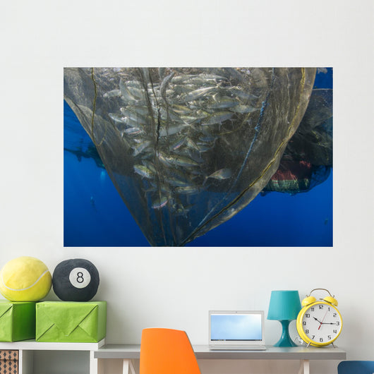 Fishing Net with Silvery Wall Decal
