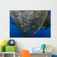 Fishing Net with Silvery Wall Decal
