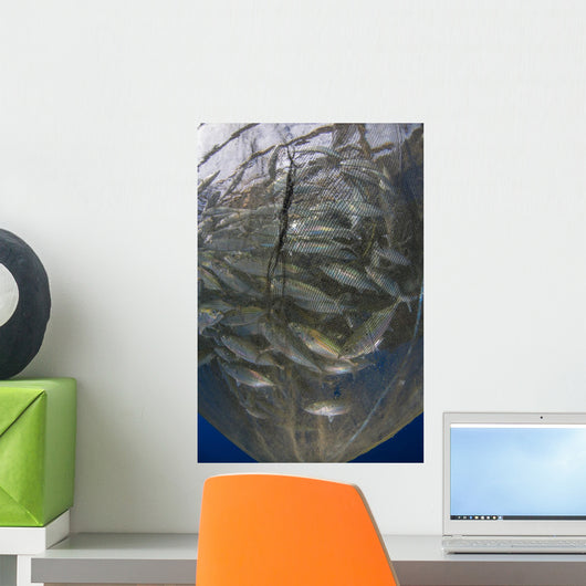 Fishing Net with Silvery Vertical Wall Decal