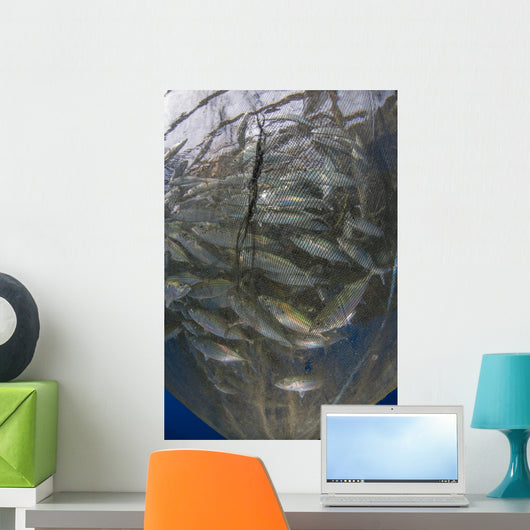 Fishing Net with Silvery Vertical Wall Decal