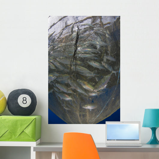 Fishing Net with Silvery Vertical Wall Decal