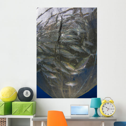Fishing Net with Silvery Vertical Wall Decal