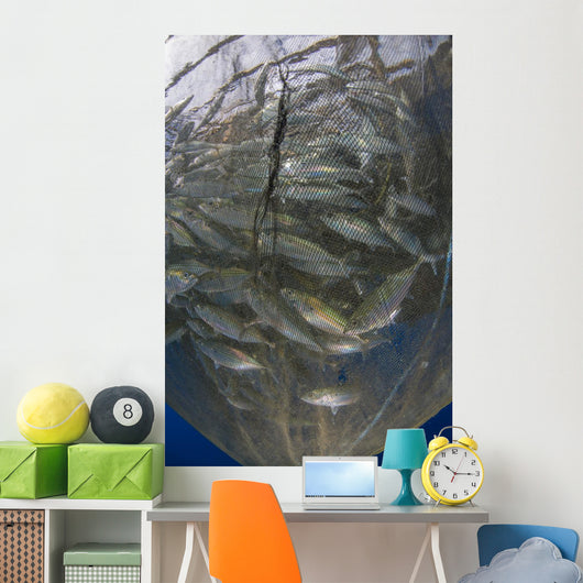 Fishing Net with Silvery Vertical Wall Decal