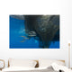 Group Squids Formation Wall Decal