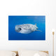 Whale Shark Descending Open Mouth Wall Decal