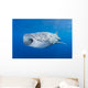 Whale Shark Descending Open Mouth Wall Decal