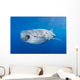 Whale Shark Descending Open Mouth Wall Decal
