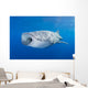 Whale Shark Descending Open Mouth Wall Decal