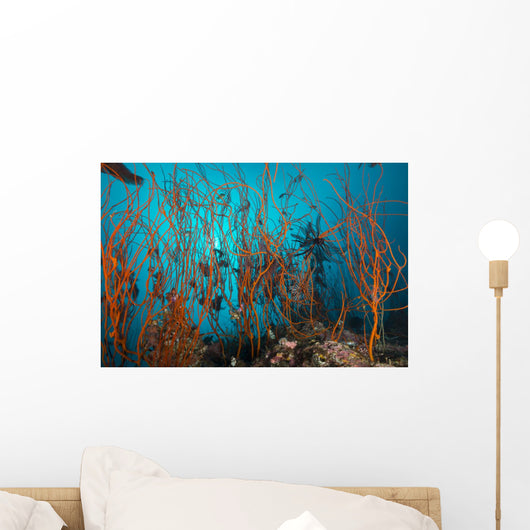 Tangle Wiry Red Corals Wall Decal