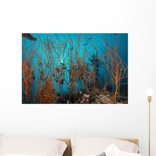 Tangle Wiry Red Corals Wall Decal