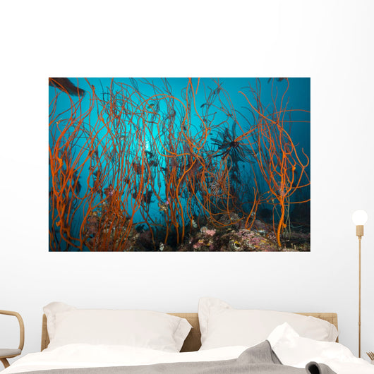 Tangle Wiry Red Corals Wall Decal
