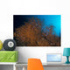Orange and Black Coral Wall Decal