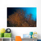 Orange and Black Coral Wall Decal