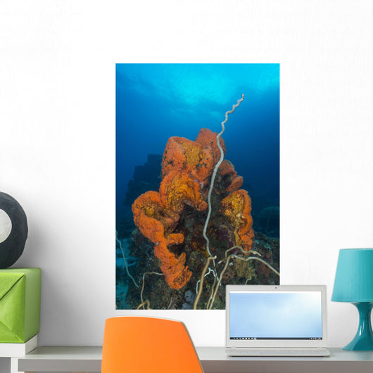 Curly Bright Orange Sponge Wall Decal