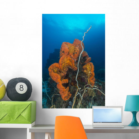 Curly Bright Orange Sponge Wall Decal