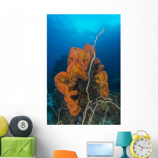 Curly Bright Orange Sponge Wall Decal