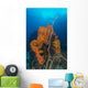 Curly Bright Orange Sponge Wall Decal