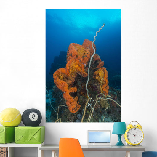 Curly Bright Orange Sponge Wall Decal