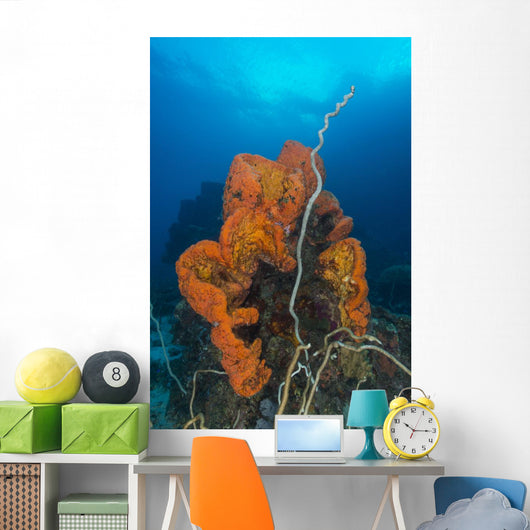 Curly Bright Orange Sponge Wall Decal