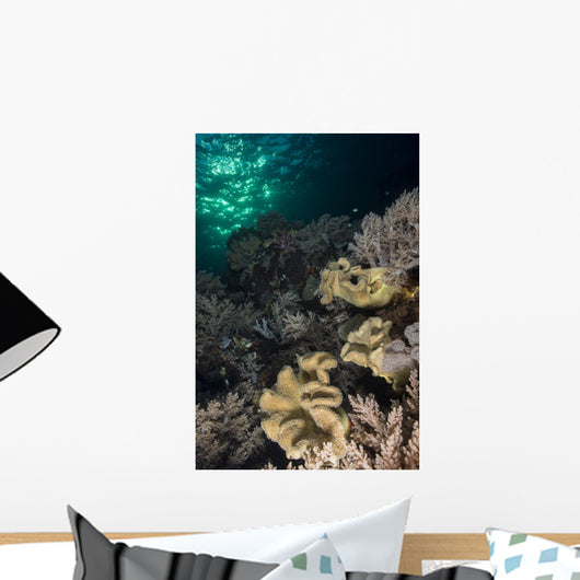 Reef Top with Various Wall Decal