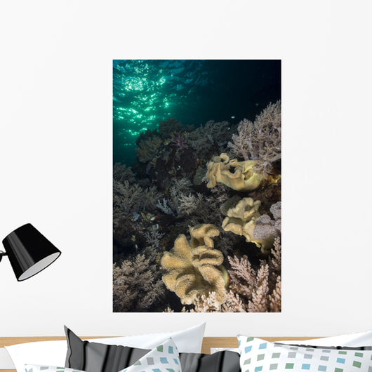 Reef Top with Various Wall Decal