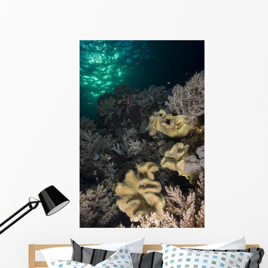 Reef Top with Various Wall Decal