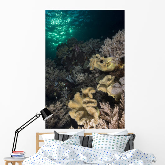 Reef Top with Various Wall Decal