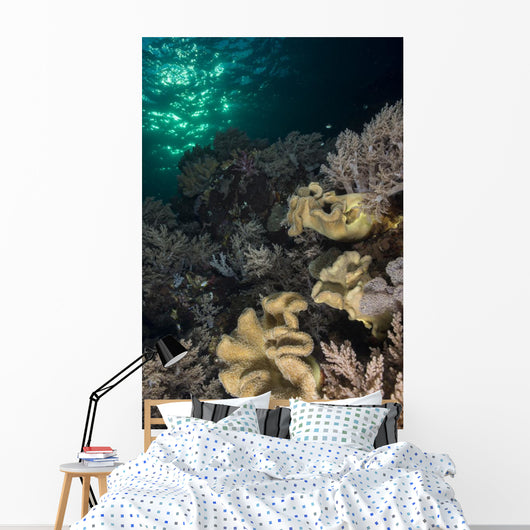 Reef Top with Various Wall Decal