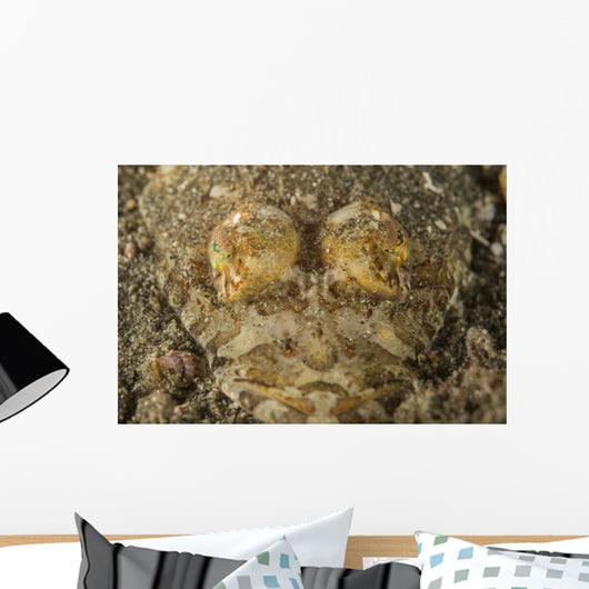 Head Crocodilefish with Frilly Wall Decal
