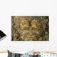 Head Crocodilefish with Frilly Wall Decal