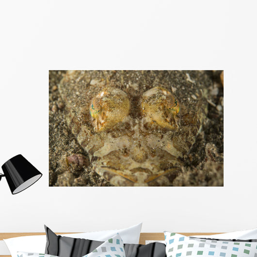Head Crocodilefish with Frilly Wall Decal