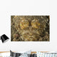 Head Crocodilefish with Frilly Wall Decal